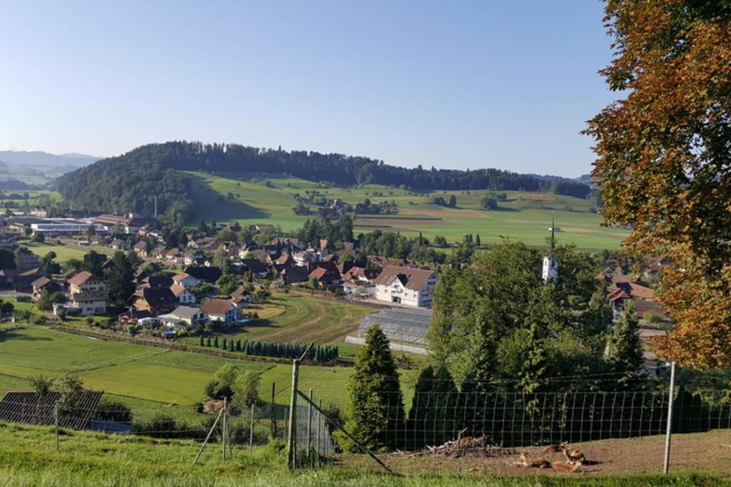 RohrbachBrachbuhl Marie Huus公寓 外观 照片